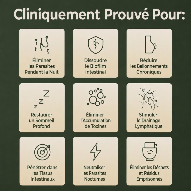 Huile de Ricin Bio — Dégonfle le Ventre Pendant que Vous Dormez