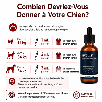 Collagène Liquide Premium Avellis™