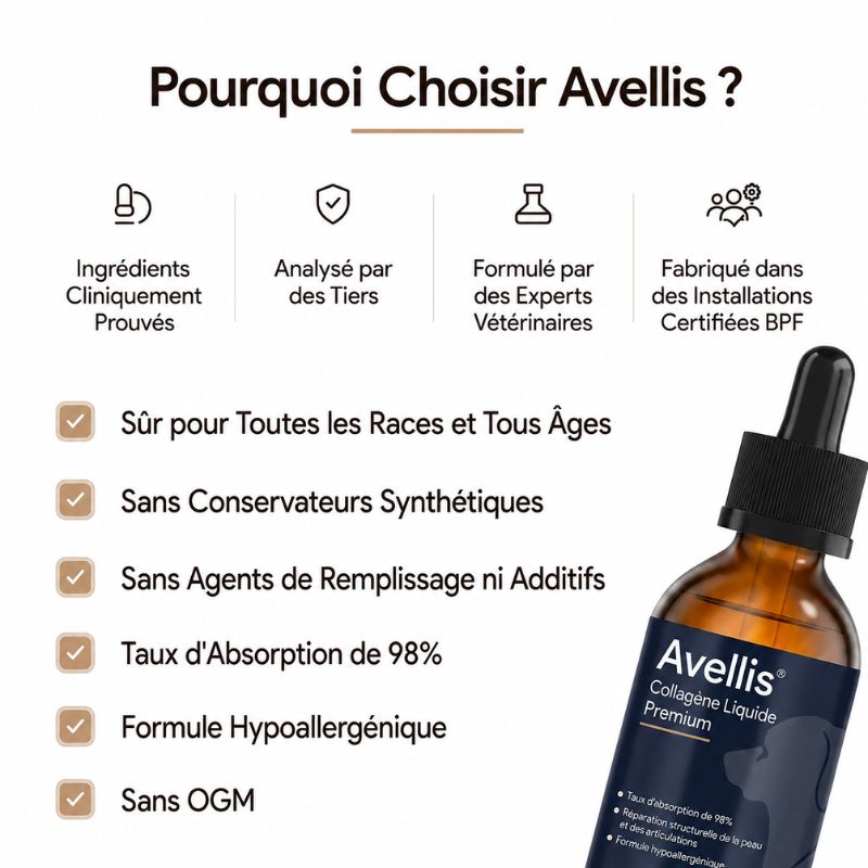 Collagène Liquide Premium Avellis™