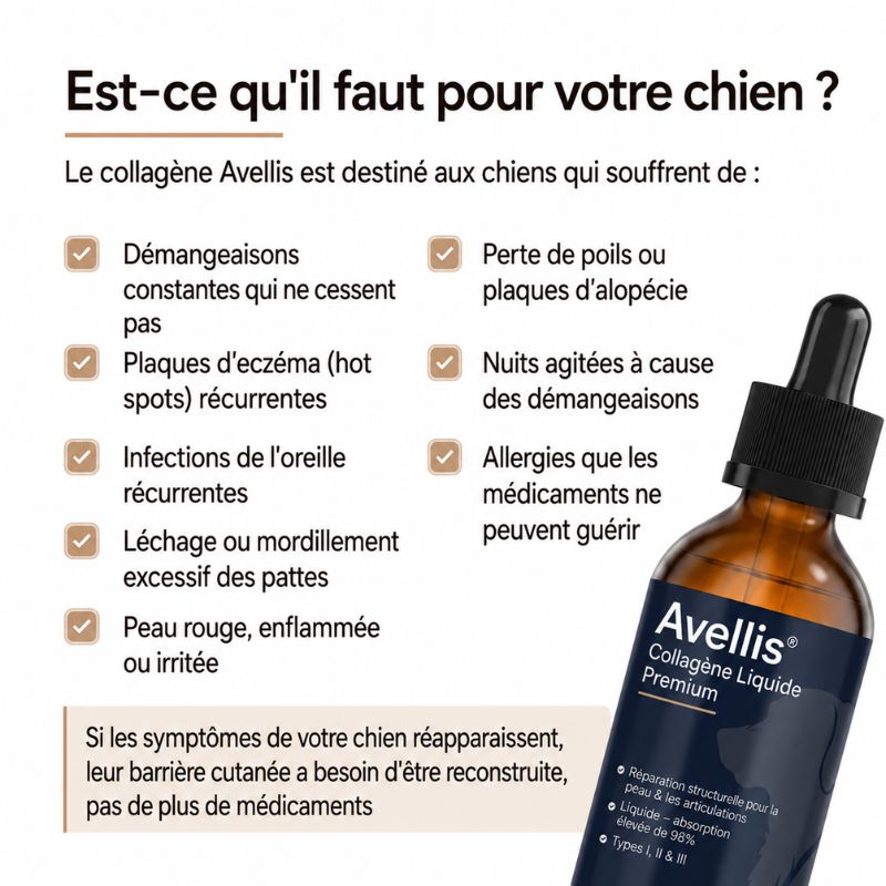 Collagène Liquide Premium Avellis™