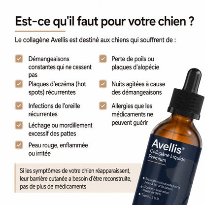 Collagène Liquide Premium Avellis™